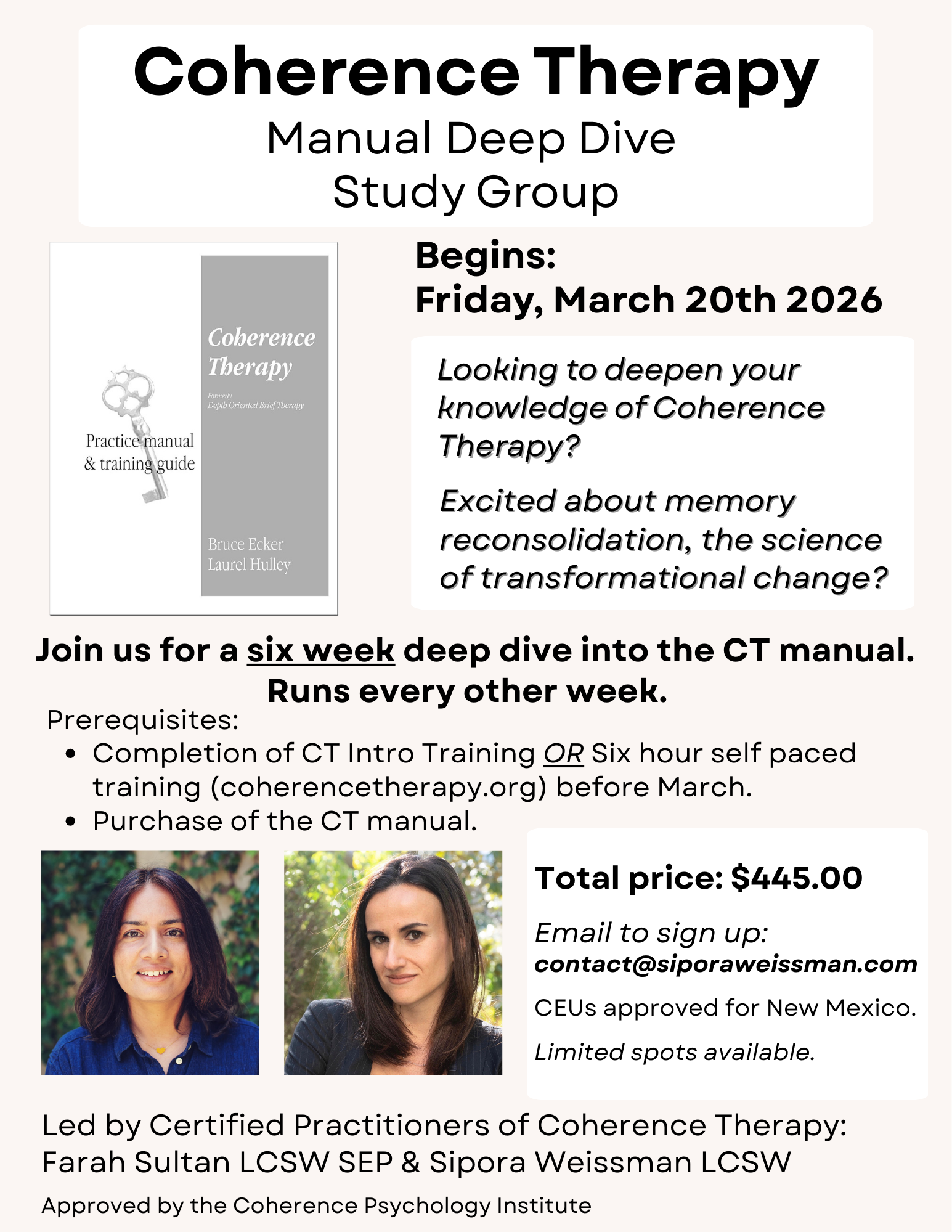 Coherence Therapy Training