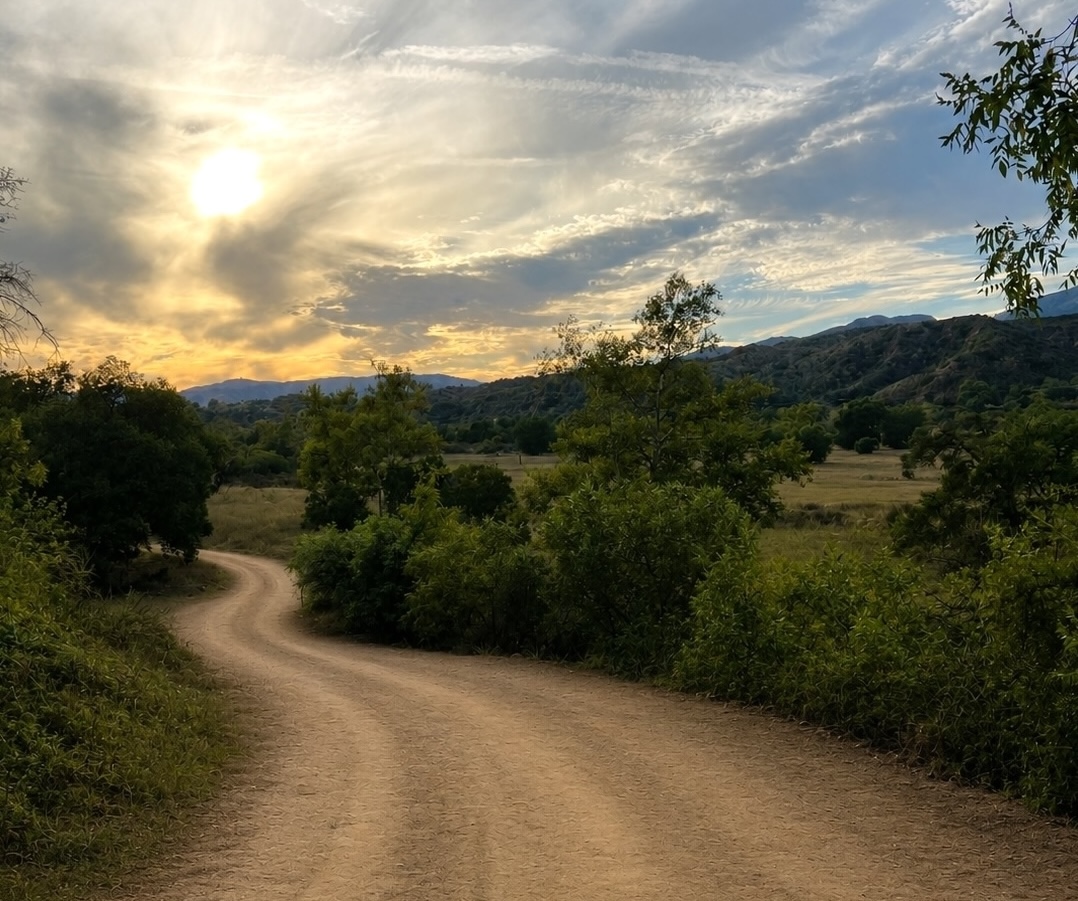 ojai path coherence therapy