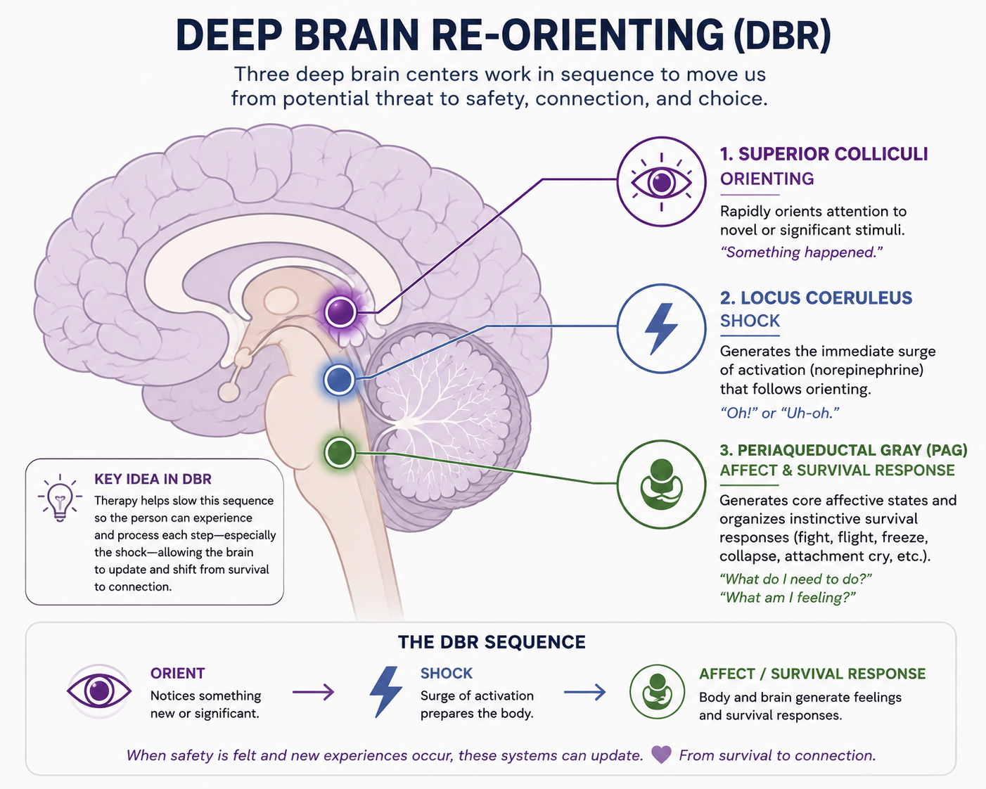 deep brain reorienting ventura california